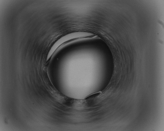 X0000092280096200710051151