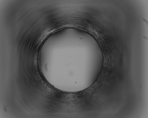 X0000092280098200710051151