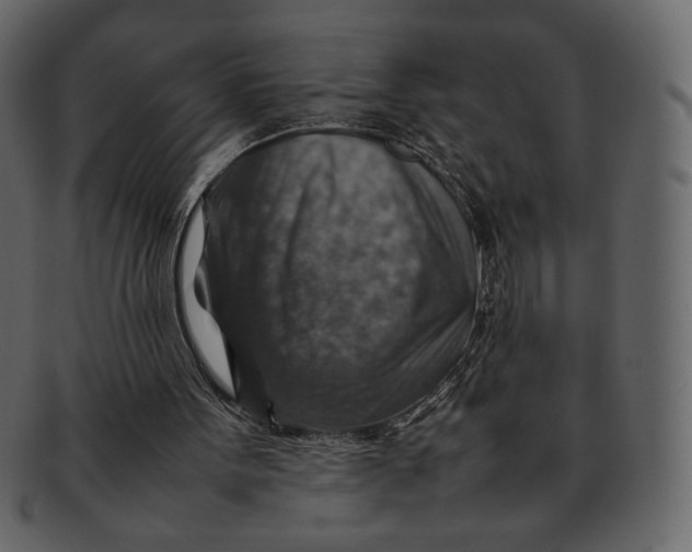 X0000092280099200710051151