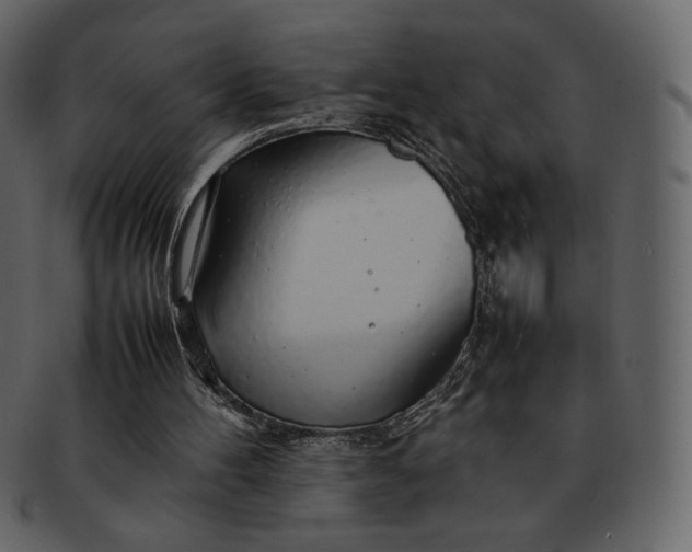 X0000092280100200710051151
