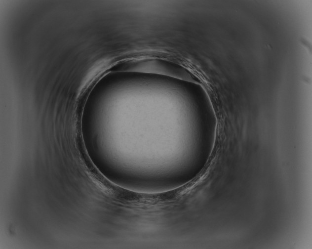 X0000092280101200710051151
