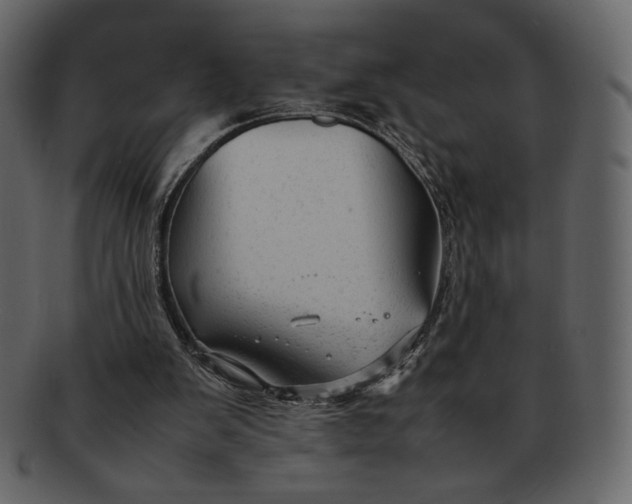 X0000092280103200710051151