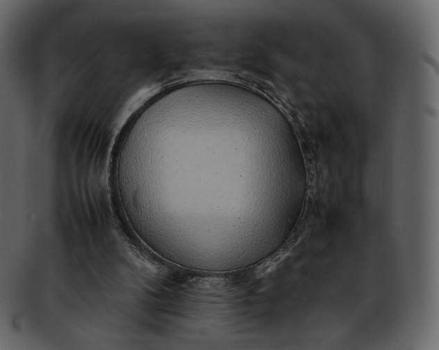 X0000092280104200710051151