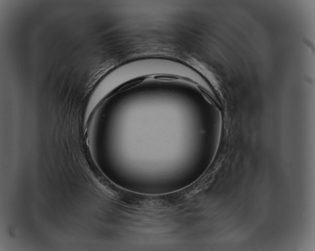 X0000092280105200710051151