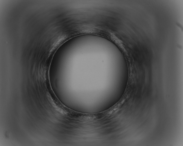 X0000092280106200710051151