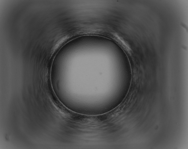 X0000092280107200710051151