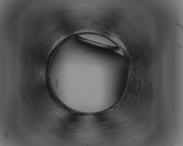 X0000092280108200710051151