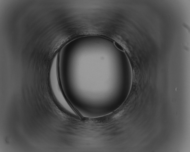 X0000092280109200710051151