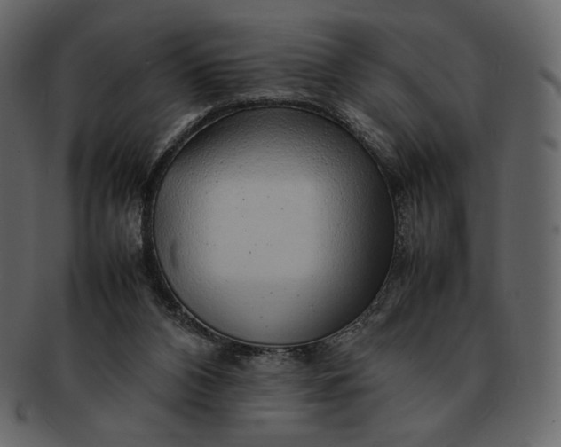 X0000092280112200710051151