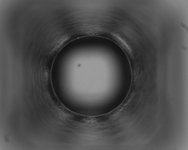 X0000092280113200710051151