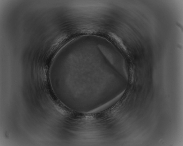 X0000092280114200710051151