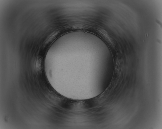 X0000092280116200710051151