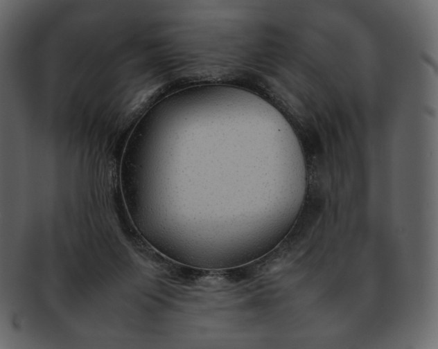 X0000092280119200710051150
