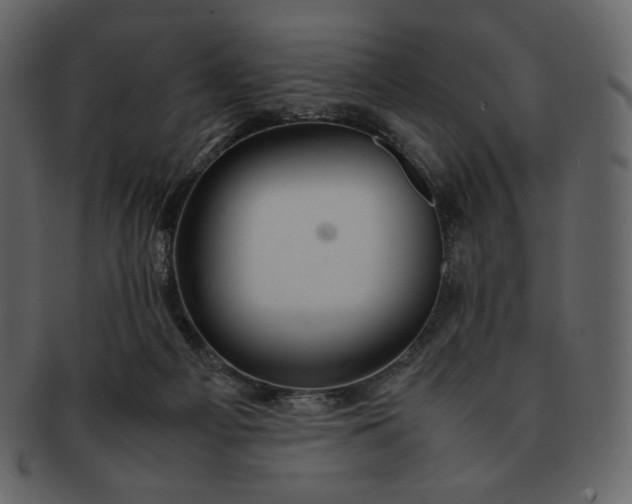 X0000092280121200710051150