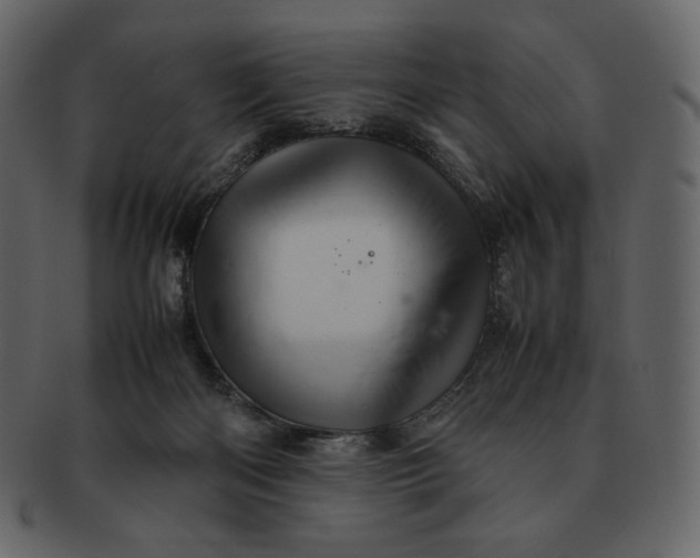 X0000092280122200710051150