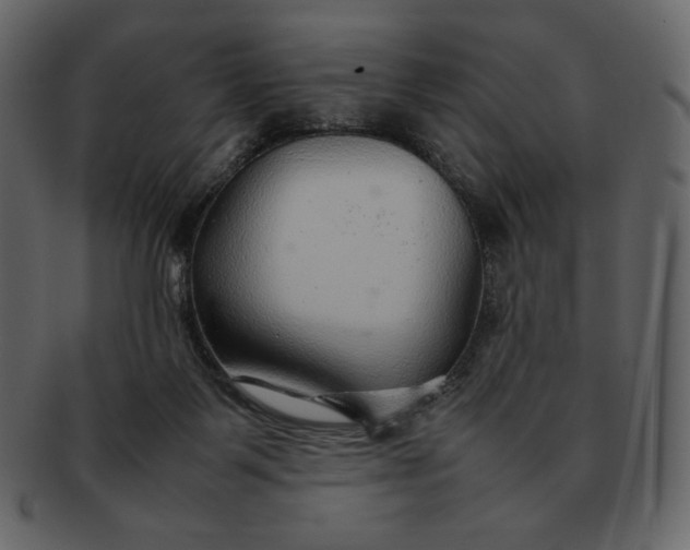 X0000092280123200710051150