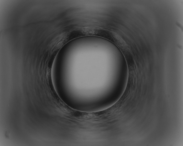 X0000092280125200710051150