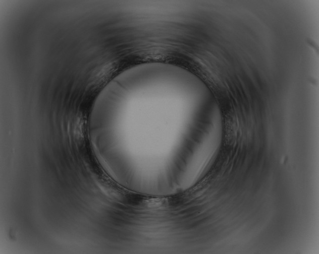 X0000092280126200710051150