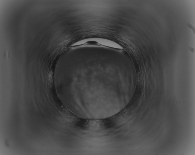 X0000092280127200710051150