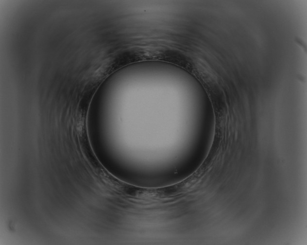 X0000092280129200710051150