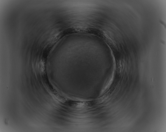 X0000092280130200710051150