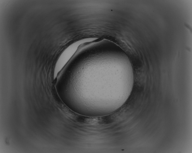 X0000092280131200710051150