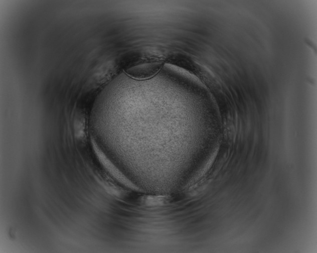 X0000092280134200710051150