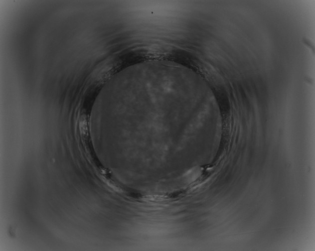 X0000092280137200710051150
