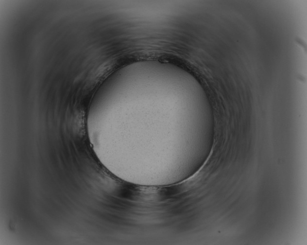 X0000092280144200710051150