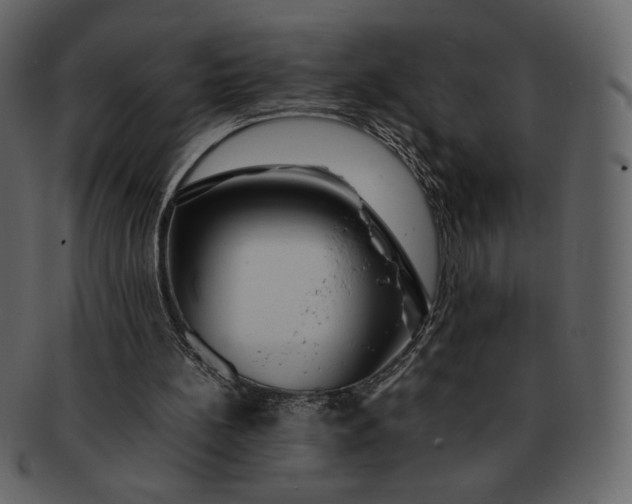 X0000092280148200710051150