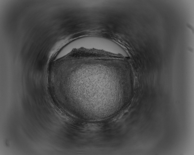 X0000092280149200710051150