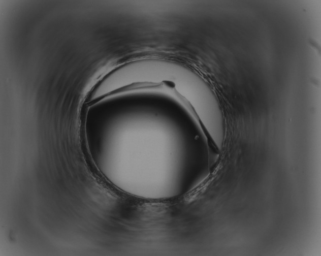 X0000092280150200710051150