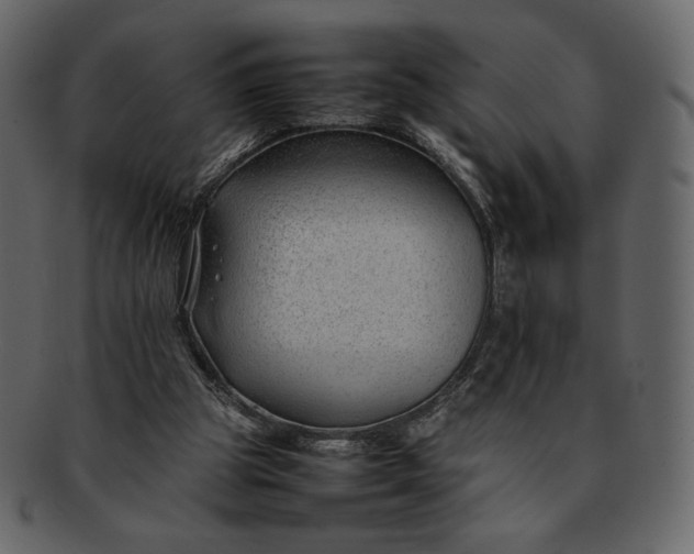X0000092280153200710051150