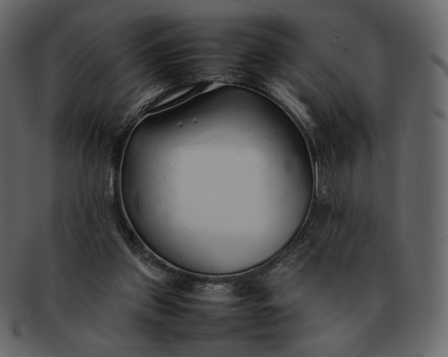 X0000092280157200710051150