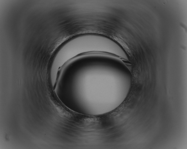 X0000092280160200710051150