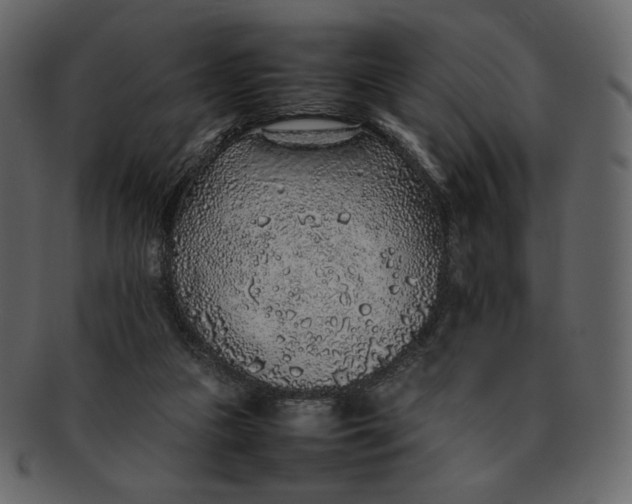 X0000092280161200710051150