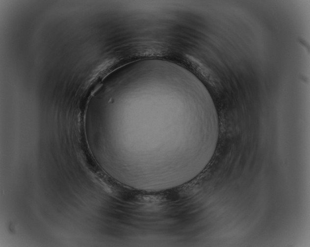 X0000092280163200710051150