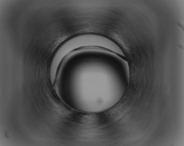 X0000092280164200710051150