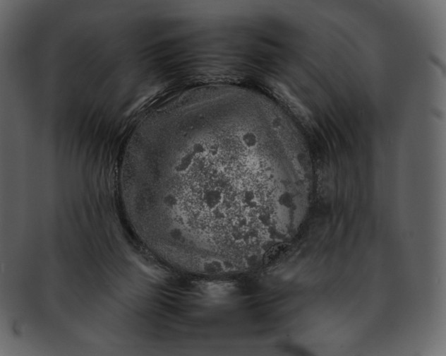 X0000092280165200710051150