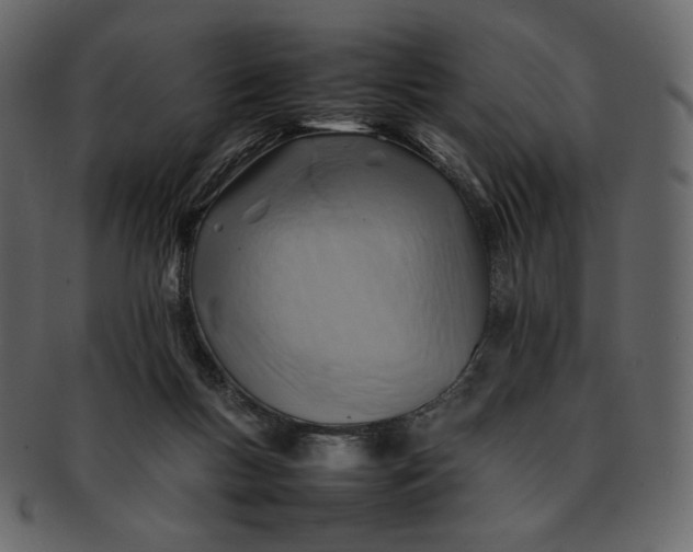X0000092280167200710051150