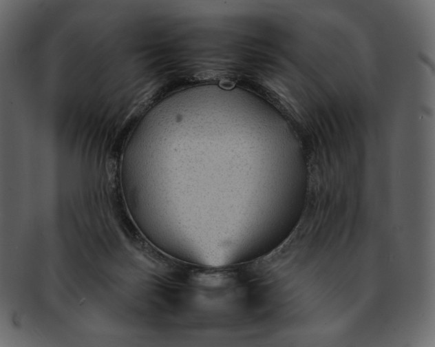 X0000092280171200710051150