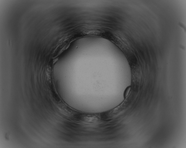 X0000092280175200710051150