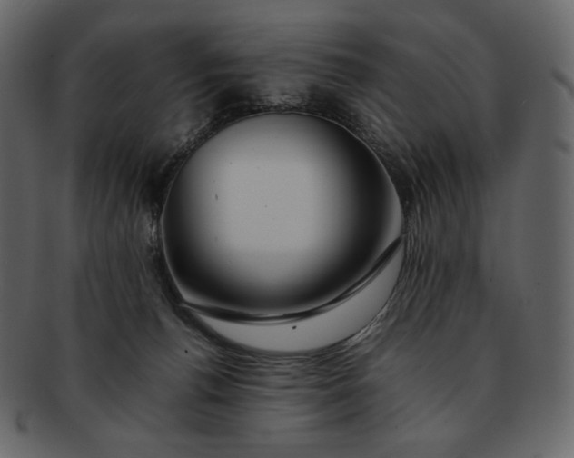 X0000092280176200710051150