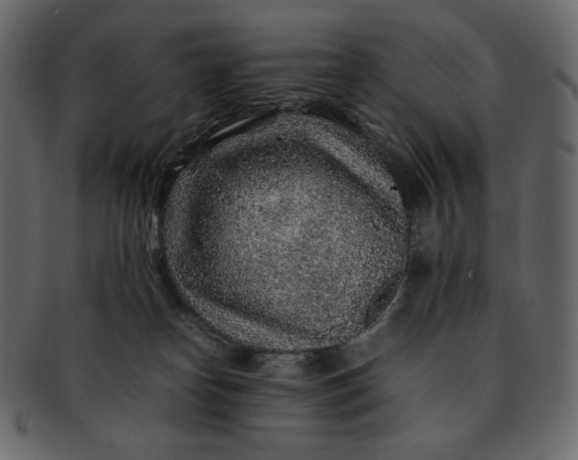 X0000092280182200710051150