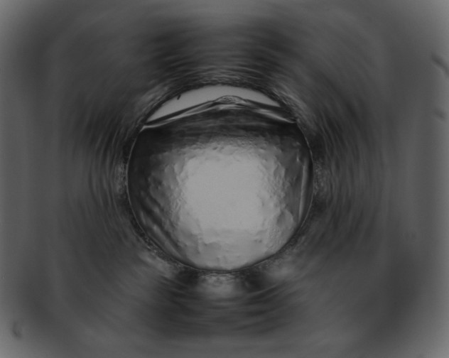 X0000092280189200710051150