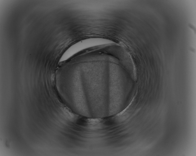 X0000092280192200710051150