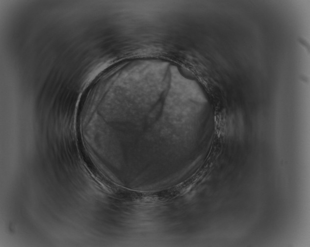 X0000092280196200710051150