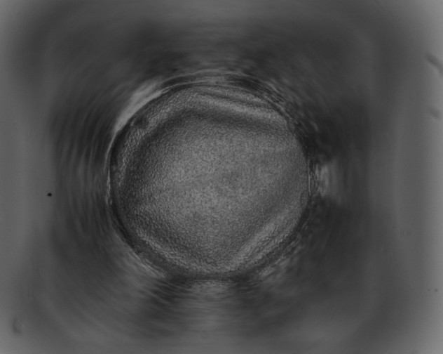 X0000092280198200710051150