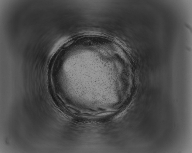 X0000092280199200710051150
