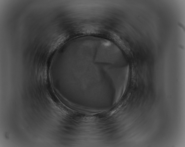 X0000092280202200710051150
